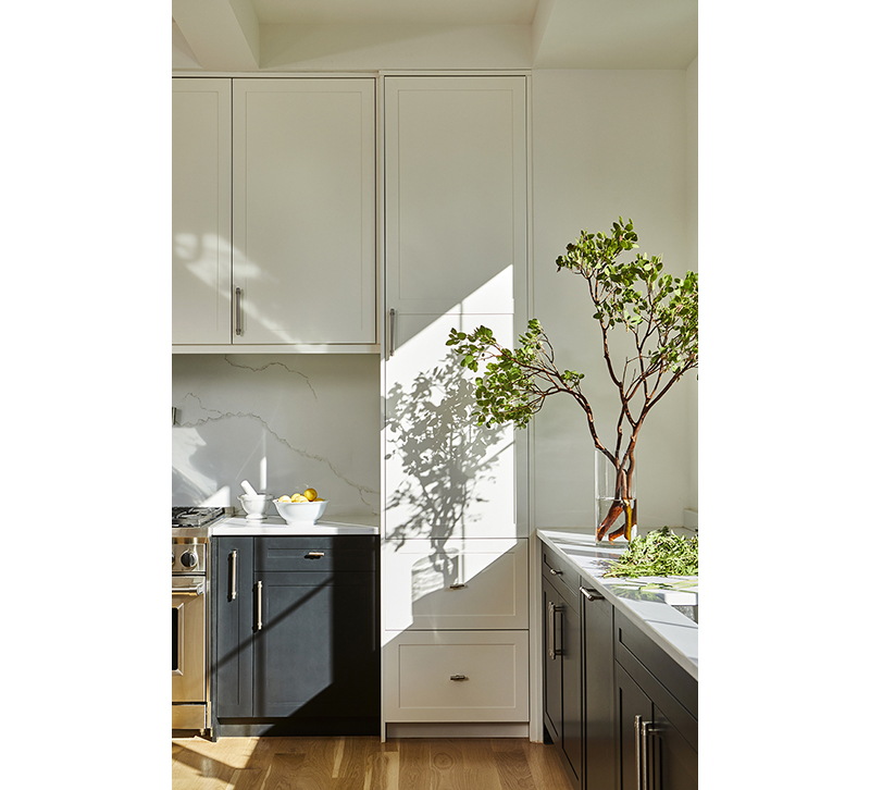 Laurence Carr Wellness Design