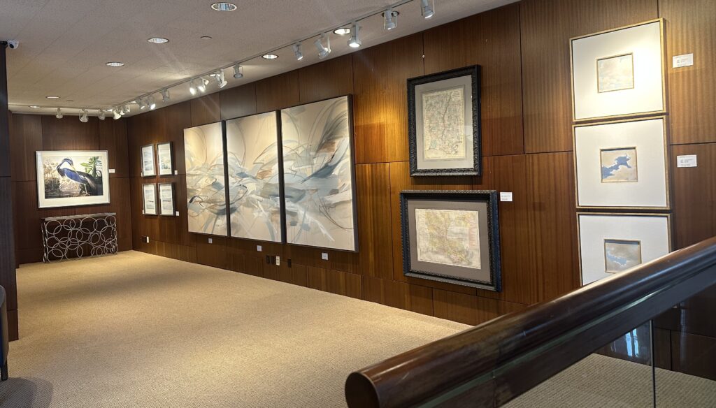 Nader's Gallery